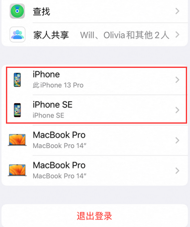 安陆苹安陆果维修网点分享iPhone如何查询序列号