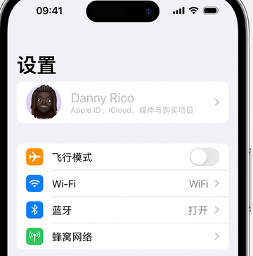 安陆appleID维修服务iPhone设置中Apple ID显示为灰色无法使用 