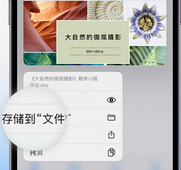 安陆apple维修中心分享iPhone文件应用中存储和找到下载文件