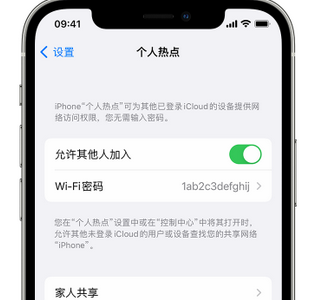 安陆apple服务站点分享iPhone上个人热点丢失了怎么办