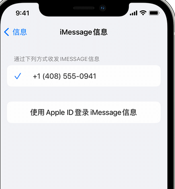 安陆apple维修iPhone上无法正常发送iMessage信息 