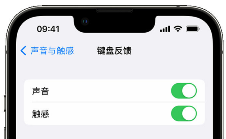 安陆苹果手机维修分享iPhone 14触感键盘使用方法 