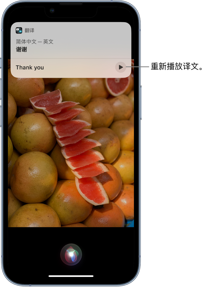 安陆苹果14维修分享 iPhone 14 机型中使用 Siri：了解 Siri 能帮你做什么 