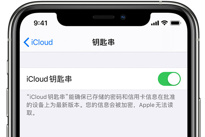 安陆苹果手机维修分享在 iPhone 上开启 iCloud 钥匙串之后会储存哪些信息 