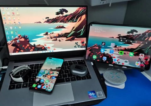 安陆苹果手机维修分享为什么iPad屏幕更大价格却比iPhone低 